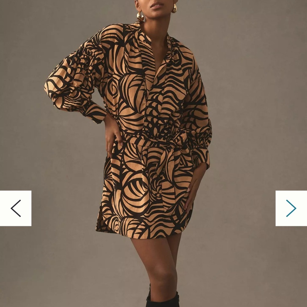 Anthropologie Black and Tan Long Sleeve Dress